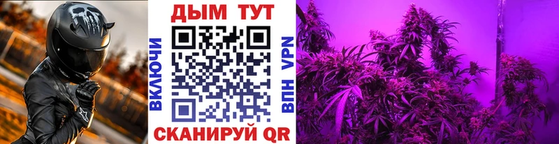 Канабис VHQ Кстово